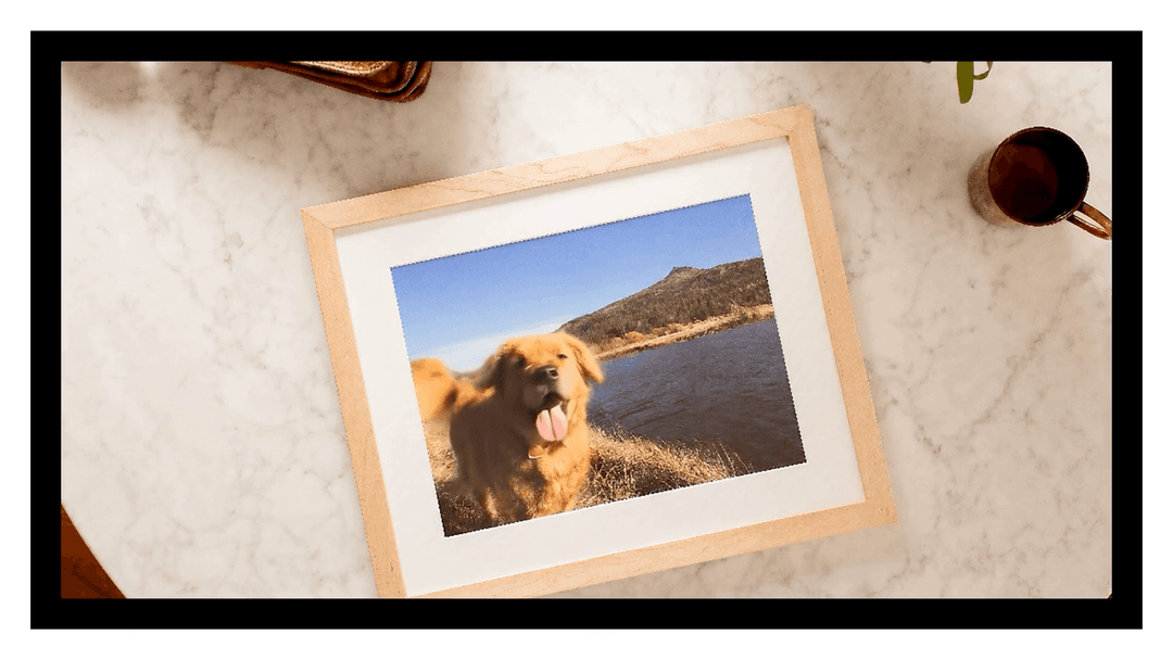 Level Frames Case Study Image 1