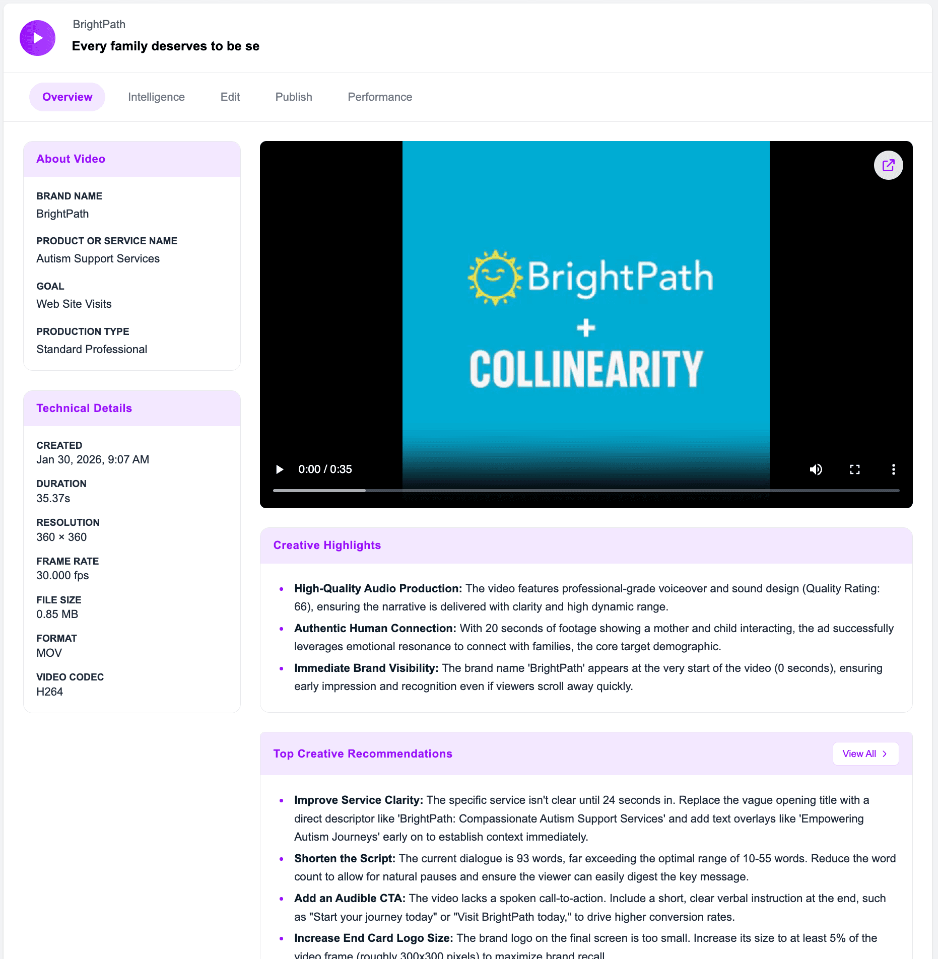 Intelligence Example 3